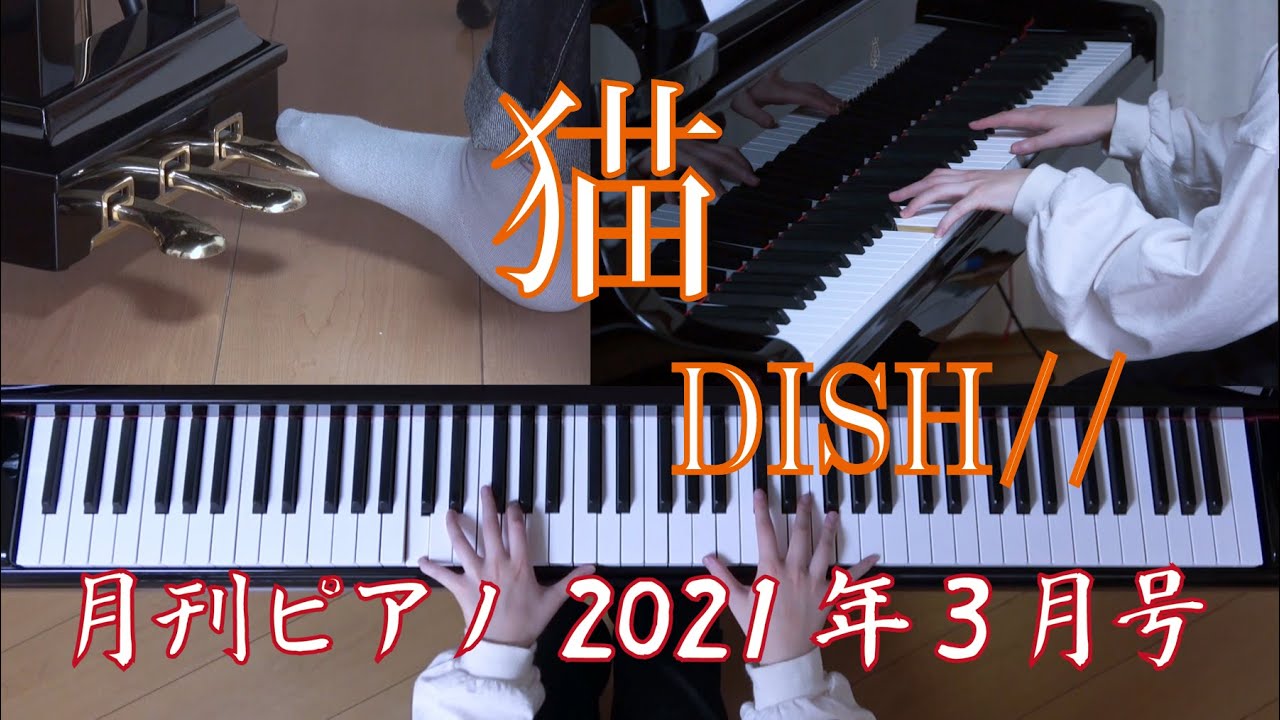 YouTube YouTube