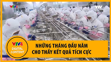 Xuất khẩu thủy sản năm 2022 dự báo đạt mốc 10 tỷ USD | VTV4
