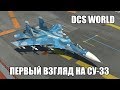 DCS World | Су-33 | Первый взгляд