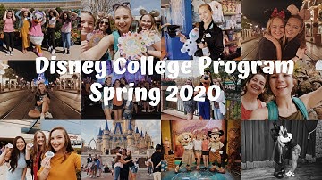 the best 40 days of my life | dcp spring 2020