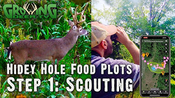 12+ Tips On Where to Put Small Food Plots | Deer Hunting Strategy (714)