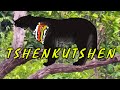 Tshenkutshen - El tigre arcoiris y otros felinos desconocidos de Ecuador - Criptozoología