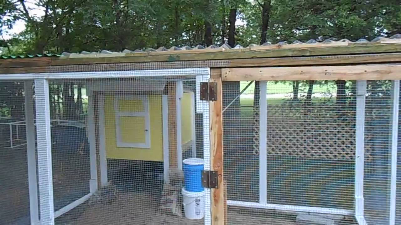 chicken run roof chicken run roof