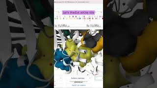 Active Site Prediction... #computationalchemistry #molecularmodeling #drugdiscovery #binding
