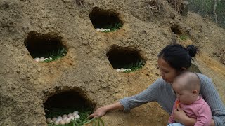 Harvesting Eggs On The Farm - The Life of a 17-year-Old Single Mother | Ly Tieu Ca