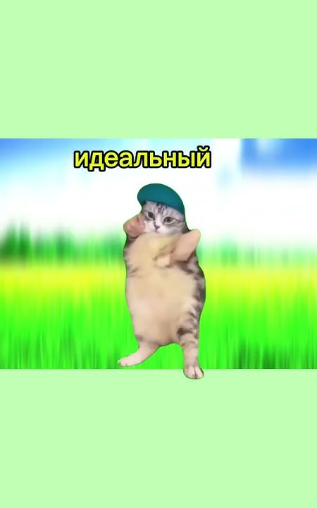ИДЕАЛЬНЫЙ СЫН. - YouTube