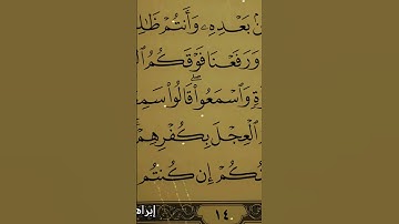 مقتطفات من سورة البقرة القارئ إبراهيم أبو محمد البزاعي