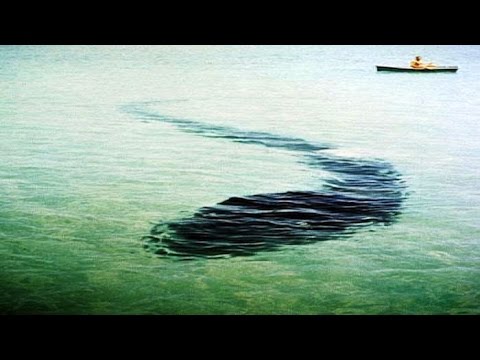 Видео: Черноморска писия: снимка и описание