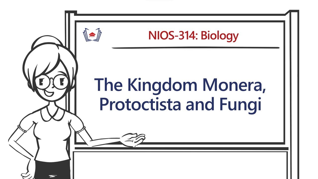 The Kingdom Monera, Protoctista and Fungi | Class 12 Biology | eLearning  Course by Gyaniversity