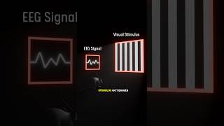 The Strongest Experiment Ever On Neuroplasticity