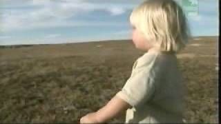 Steve Irwin's Great Escape : USA (Part 1)