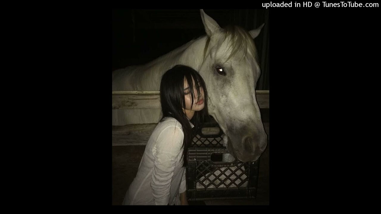 (free) soser + che + jxcob type beat - 