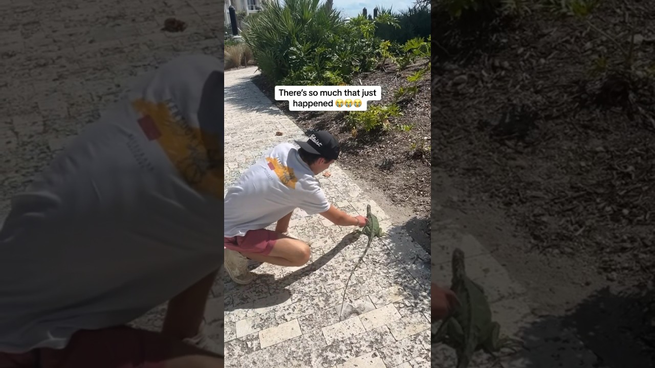 IT JUST KEPT GETTING WORSE 💀