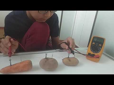 Video: Жашылча-жемиштер үчүн электр майдалагычтар - ашкана столунда сиздин ишенимдүү жардамчыларыңыз