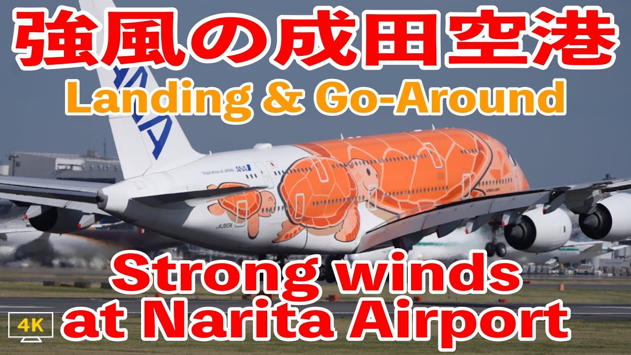 [4K] ｳｲﾝﾄﾞｼｱ 強風の中、果敢に着陸に挑む Narita Airport 成田空港 '25/4/15