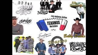 Los mejores exitos norteño texano Garcia brothers, Bobby pulido, Emilio Navaira, Conjunto oro y mas
