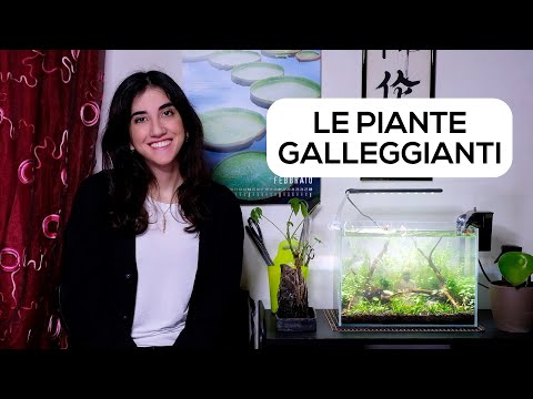 Video: In che modo le piante galleggianti galleggiano sull'acqua?