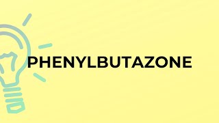 What is the meaning of the word PHENYLBUTAZONE? screenshot 4