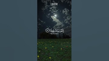 فاصبر صبرا جميلا - قراءه مريحه للنفس (سورة المعارج) اسلام صبحي!#islam #islamic #islamicstatus #قرآن