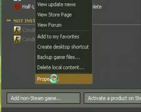 howto: open Console in Counter Strike Source