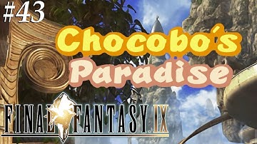 Final Fantasy 9 [43] Chocobo