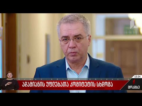 ადამიანის უფლებათა კომიტეტის სხდომა