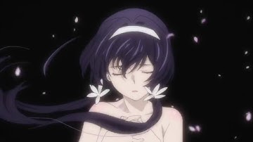 Bungo Stray Dogs Season 2 (hypothetical Toonami edit)