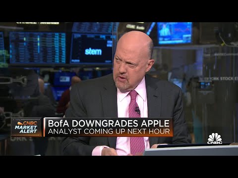 Apple shares move lower as bofa downgrades stock