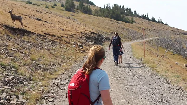 Yellowstone National Park - Mt. Washburn Trail Ove...