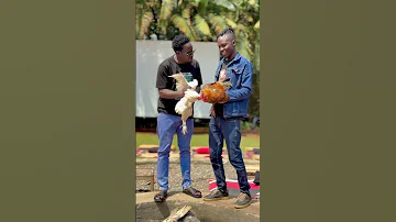Justice For Frank Ntambi 