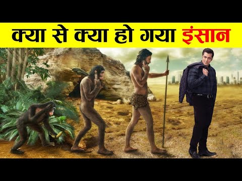 वीडियो: क्या इंसानों का विकास चतुरों से हुआ है?