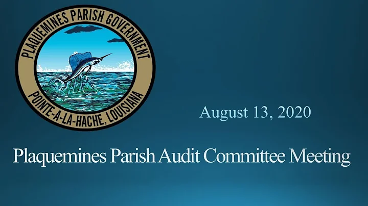 August 13, 2020 Audit Committee Meeting