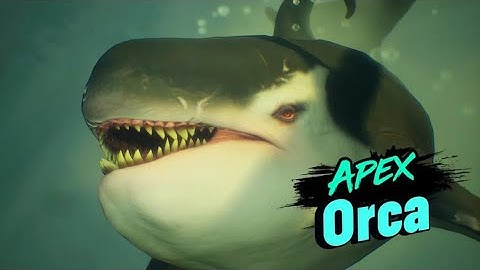 Maneater - Apex Orca Fight HD