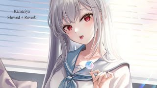 Kamariya (Slowed + Reverb)
