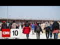 Migration, Education, and Skydiving Insights