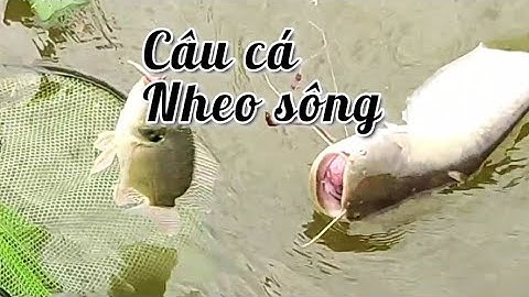 Câu cá nheo sông#(nguyễn Ninh)