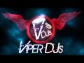 Bhangra mix part 2  viper djs