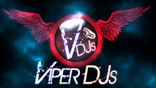 Bhangra Mix Part 2 | Viper DJs