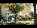 Fujifilm Recipe With Video Samples | Fujicolor Superia 800 | X-T5 X-T50 X100VI X-M5 X-S20 X-H2S X-E5