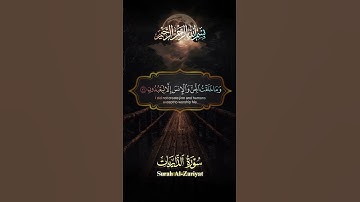 #قران_كريم #تلاوة_خاشعة #قرآن #اللهم_صل_وسلم_على_نبينا_محمد #عليه_افضل_الصلاه_والسلام #تيك_توك #duet
