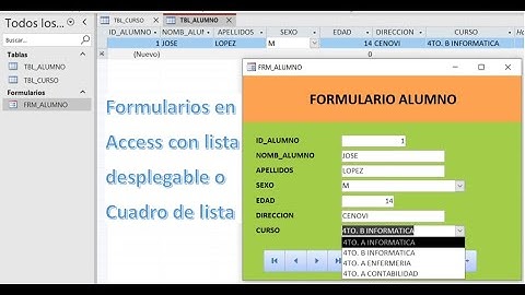 Como hacer un formulario en Access con lista desplegable