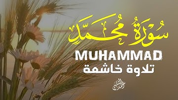 سورة محمد بصوت يأخذك لعالم آخر القارئ أحمد الشلبي |MUHAMMAD
