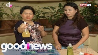 Download lagu Good News: Solusyon sa mga pesteng langgam sa bahay, tuklasin!
