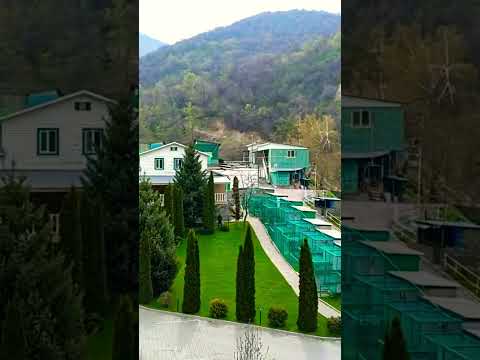 Family recreation center in the mountains of Almaty#shorts #video #love #allah
