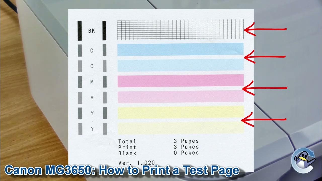 Canon Pixma MG3650 How to do Printhead Cleaning Cycles and Print a Nozzle Check Test Page YouTube