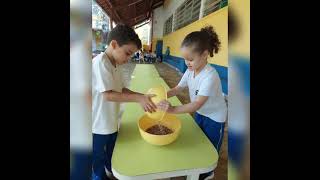 Dia Mundial das Leguminosas