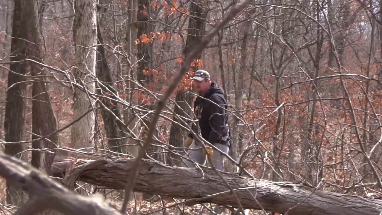 Late Season Deer Management Projects - YouTube