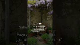 #plantas #chacara #deuséfiel #plants #deus #floresça #fé