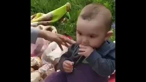 Цыгане на кладбище воруют еду