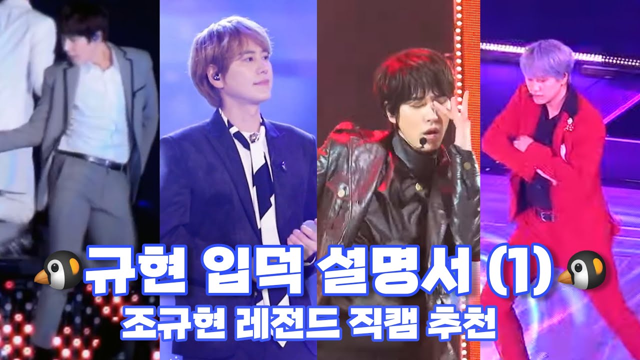 🐧규현 입덕 설명서(1)🐧 조규현 레전드 직캠 추천